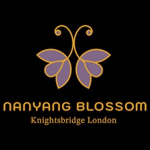 Nanyang Blossom logo